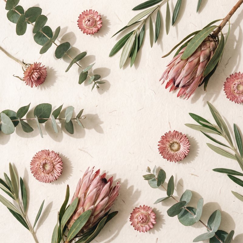 Eucalyptus and dried blooms arranged on cream paper